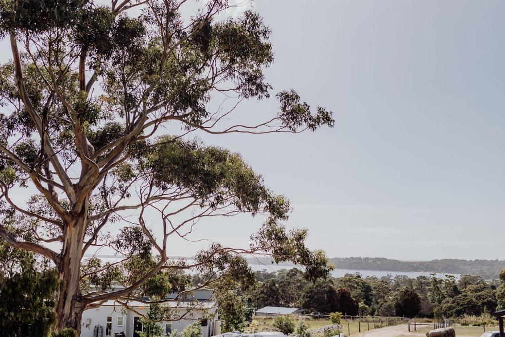 Bayview - Views Views Views! Holiday home *